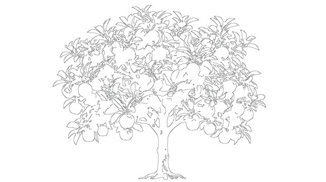 Branching Deciduous Tree Architecture Drawing Lineart Sketch Vector Illustration Nature Landscape Graphic