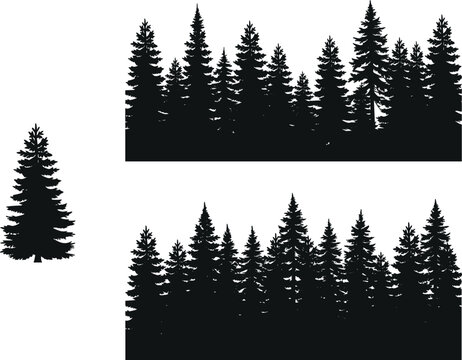 Pine forest silhouette vector set with coniferous tree borders and isolated evergreen fir for landscape design