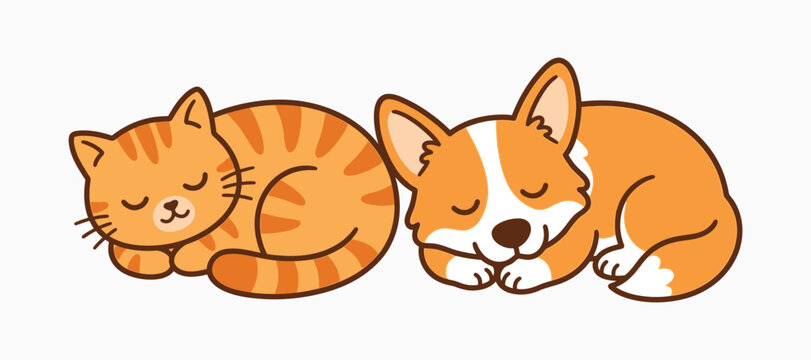 Sleeping ginger tabby cat and pembroke welsh corgi illustration cute animal companions