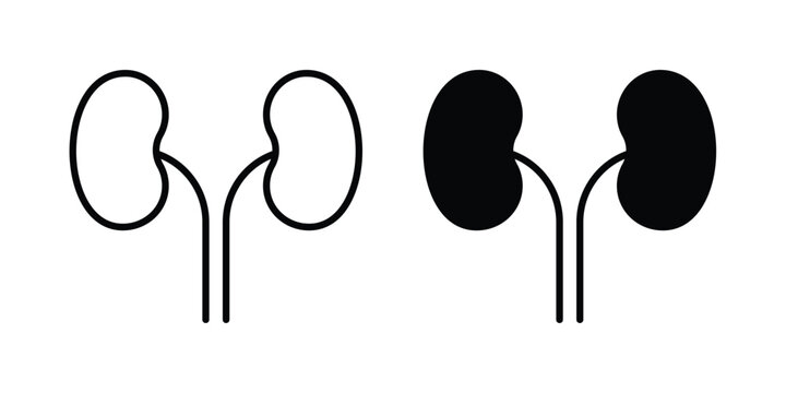 Kidneys icon