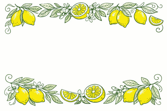 Italian Lemon Frame with Citrus Illustration, Mediterranean Doodle Green Ink Sketch Borders with Yellow Lemons, Botanical Foliage, and Blossoms for Wedding Invitations, Menus, and Summer Decor