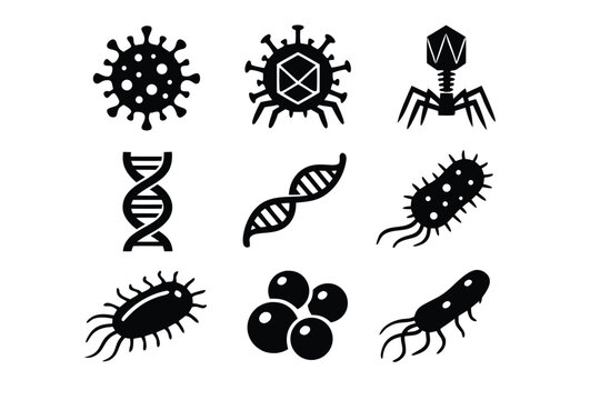 Set of black vector icons representing viruses, bacteriophages, DNA double helix, RNA strands, and various bacterial shapes like cocci and bacilli for microbiology, science, and medical research.