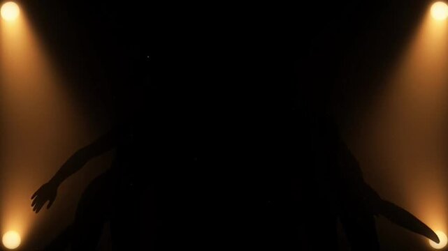 Dramatic Silhouette Frame Overlay - Stage Light