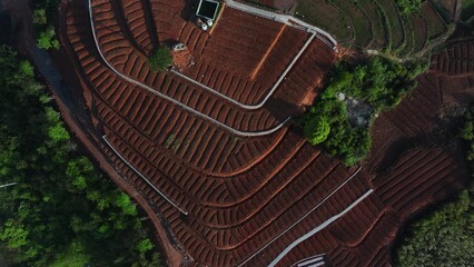 Fototapeta premium Aerial view of red soil terraced fields with winding mountain road and green vegetation