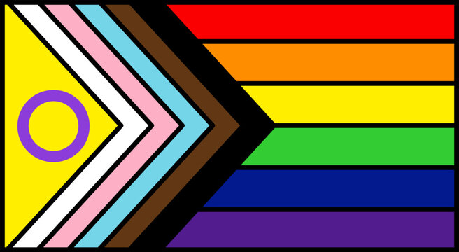 Detailed intersectional progress pride flag layout featuring a black border, crisp geometric lines representing queer and trans diversity, iconic chevron design supporting human equality