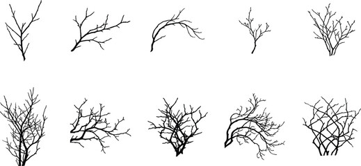Obraz premium Bare tree branches silhouettes set black winter twigs collection hand drawn vector illustration nature elements