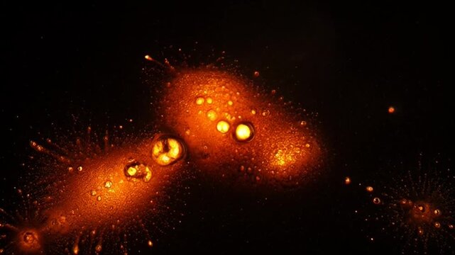 Film Burn Ember Drift Frame Transition - Warm