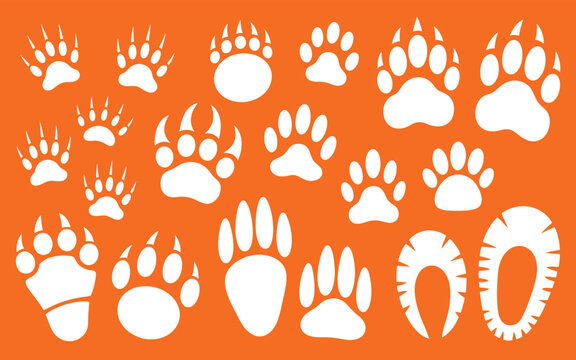 White animal paw prints and fish tail silhouettes on orange with paw print animal tracks wild animal footprint silhouette