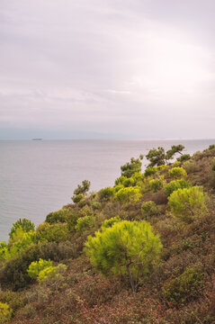 Scenic seaside landscape overlooks calm horizon
