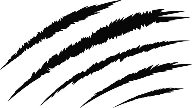 Black animal claw scratch marks on white background with predator illustration frightening aggressive violence silhouette