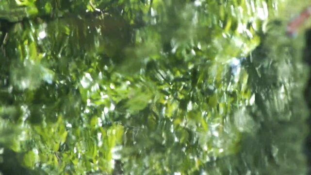 The reflection of shady trees on the clear, gently rippling water creates a relaxing atmosphere and nature background. Perfect for opening music videos or films with nature, spa, or meditation themes.