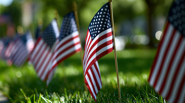 Rows of small American flags placed on a lush green lawn for a memorial day tribute, national remembrance, patriotic landscape, veterans honor concept, with copy space
