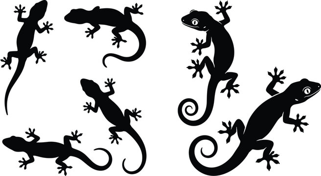 Black gecko lizard silhouettes collection featuring crawling tropical reptiles in various positions isolated on white background for creative design