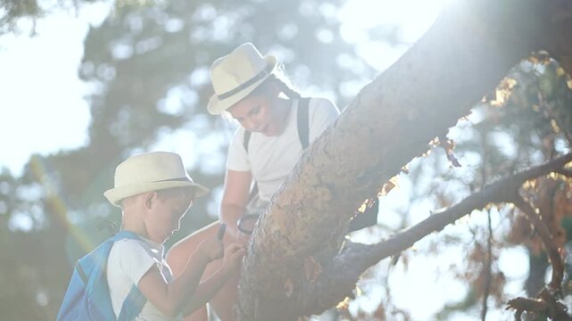 Sunlight hits forest as kid touches bark. Boy explorer holds magnifier. Student girl sits backpack. Forest tree becomes learning tool. Curious hiker child explores. Student and explorer focus together