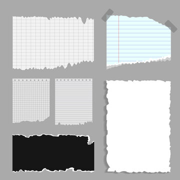 A set of torn sheets of paper
