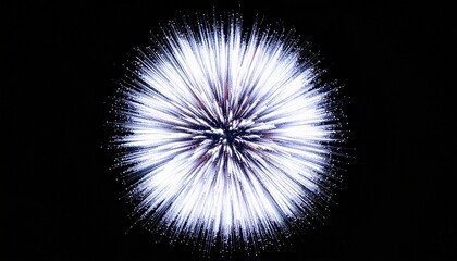 Fototapeta premium fireworks in the night sky