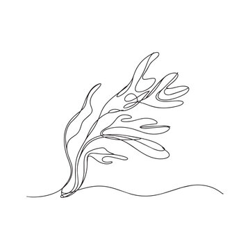 Continuous one line drawing of an aquatic plant. graceful flowing plant in ocean environment.