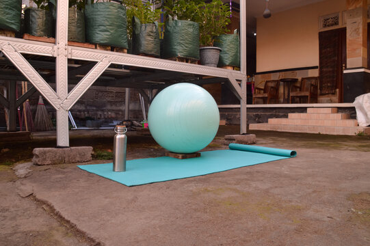 Looking from a front-left angle, an unrolled blue yoga mat with a silver water container rests next to a teal workout ball in a domestic yard with a covered plant display rack.
