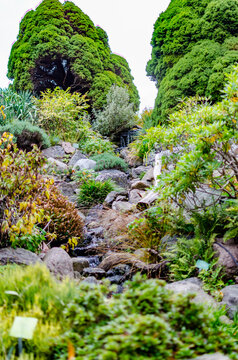 Nature luxuriante et douceur de l&rsquo;eau vive