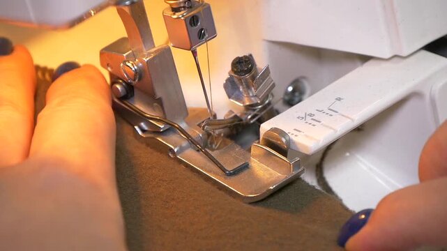 Sewing machine in operation. 
Feed dog and presser foot.