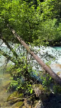 The scenery features mountains, rivers, and lush green hills along the Tian Shan mountain range in Xinjiang Province, China. There are many rocks along the way, and clear water is flowing.