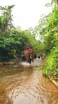 Tak, Thailand - 13 March 2021: Karen people dressed in traditional clothing ride elephants in a line along a stream in the forest on Thai Elephant Day. Editorial use only.