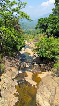 river in the forest