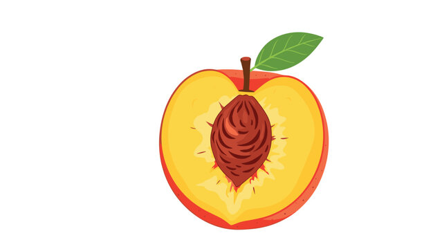 Cross section of a fresh ripe peach fruit with its pit and leaf isolated on white background for health and nutrition concepts.