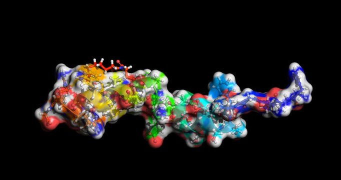 Liraglutide, drug/GLP-1 receptor agonist for type 2 diabetes and obesity, 3D molecule spinning, 4K
