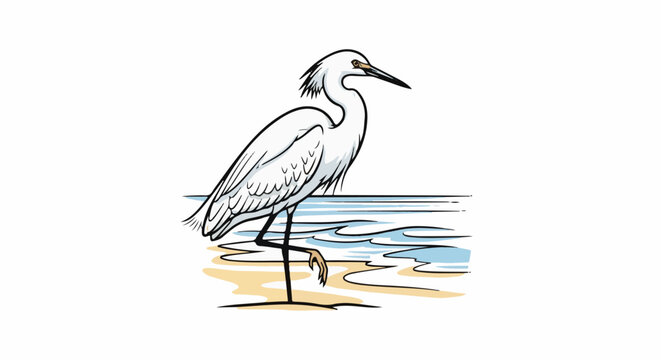 Stylized illustration of a white wading bird standing in shallow blue water and on a sandy shore
