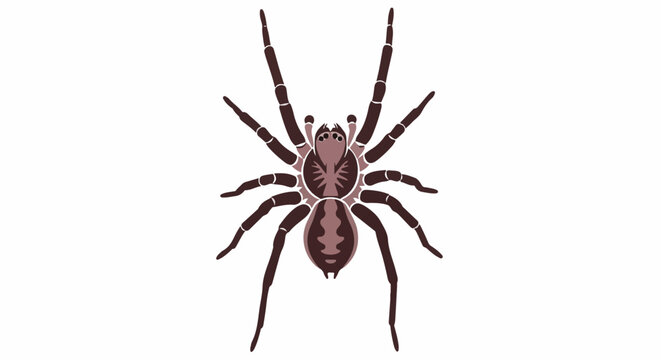 Stylized illustration of a dark-colored spider with eight legs and distinct body markings