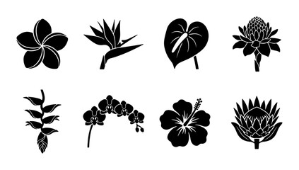 Tropical Flower Silhouettes Collection, Exotic Botanical Vector Icons, Floral Elements for Design, Plumeria, Bird of Paradise, Anthurium, Protea, Heliconia, Orchid, Hibiscus © Mashiur