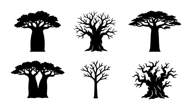 Baobab Tree Silhouettes, African Flora Vector Icons, Exotic Woodland Shapes, Nature Elements Collection