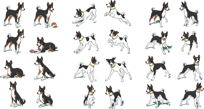 Cute basenji dog cartoon vector illustration set featuring playful puppy poses running sitting and jumping isolated pet collection