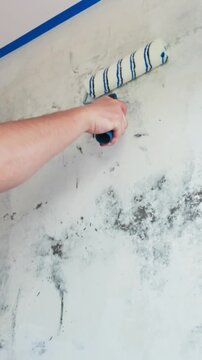 Hand and roller priming stained interior wall during renovation