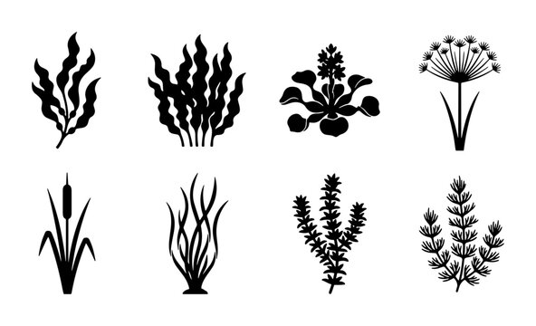Aquatic Plant Icons, Water Vegetation Silhouettes, Underwater Flora Vector Set, Wetland Botanical Graphics
