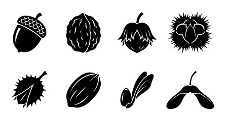 Set of 8 Black and White Autumn Seed and Nut Icons, Vector Graphics for Nature and Harvest Themes © Tania