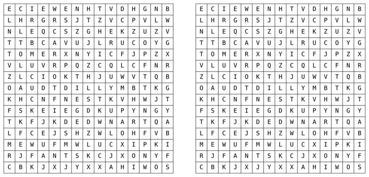 Word search puzzle with letter grid and highlighted solution. Educational vocabulary game for brain training, language learning, and printable worksheets. Vector illustration series.