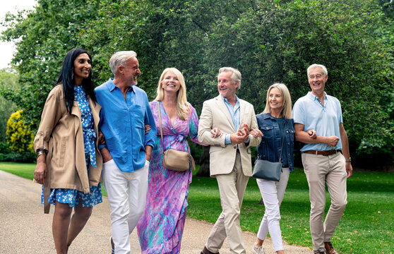 Senior group old buddies reunion in London