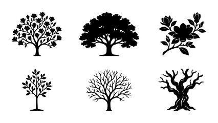Elegant Tree Silhouettes Collection, 6 Vector Icons for Nature and Seasons, Black and White Botanical Graphics © Mashiur