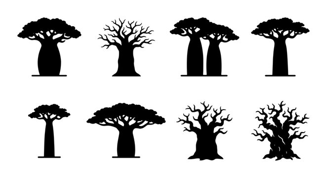 Baobab Tree Silhouettes, African Flora Vector Icons, Diverse Shapes and Sizes, Nature Elements for Design