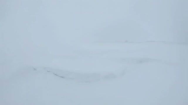 A snowy mountain partially obscured by a thick, white mist