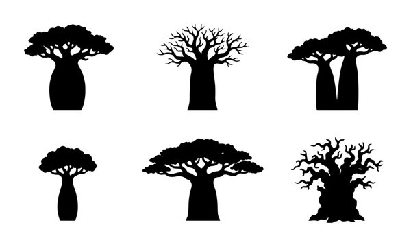 Baobab Tree Silhouettes Collection, African Adansonia Digitata Vector Icons, Organic Shapes for Nature and Travel Designs