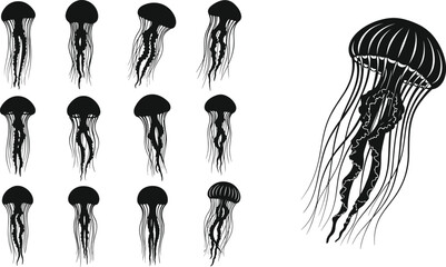 Set of jellyfish silhouette vector icons and detailed medusa illustrations for marine life and ocean design © MdTohidul
