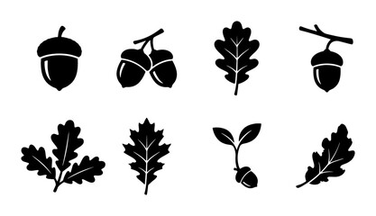 Oak Acorn and Leaf Icons, Vector Set: Autumn Nature Elements for Seasonal Design Projects, Botanical Graphics © Nodi