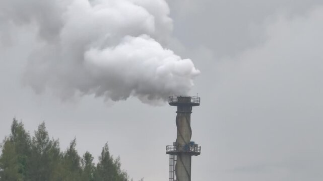 Industrial factory smokestack emitting thick white smoke into the sky near a green rice field. Concept of air pollution and environmental impact