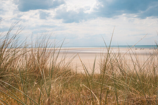 Dune, plage et mer vues depuis le sentier c&ocirc;tier de la presqu'&icirc;le du Cotentin, pr&egrave;s de Tourneville-sur-Mer, en Normandie, France