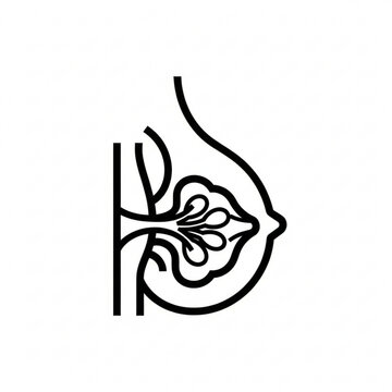 Anatomical breast cross section highlights the glandular tissue and internal anatomy for medical awareness.