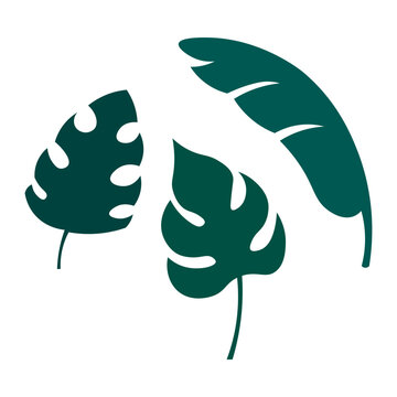 Tropical leaves set, vector illustration.