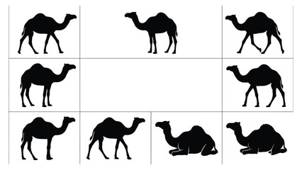 Camels arranged in a grid pattern provide a versatile layout for wildlife or desert travel themes. © adnan